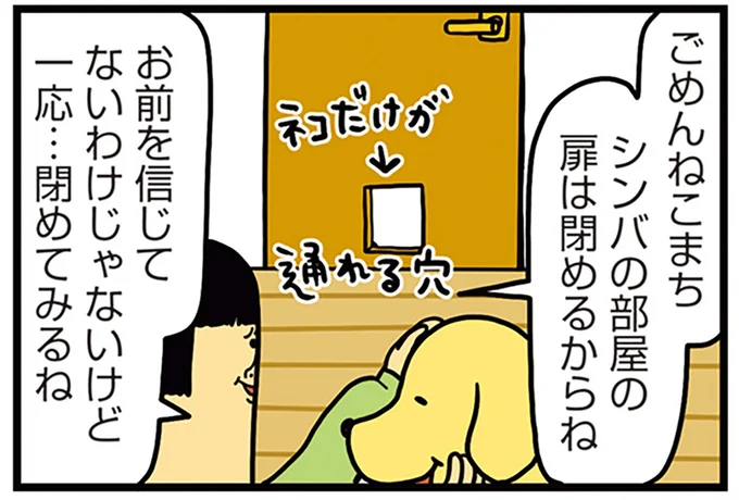 信じてないわけじゃないけど