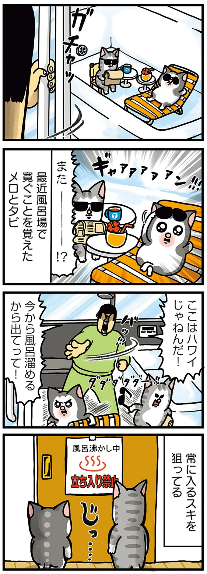 ここはハワイじゃねんだ！