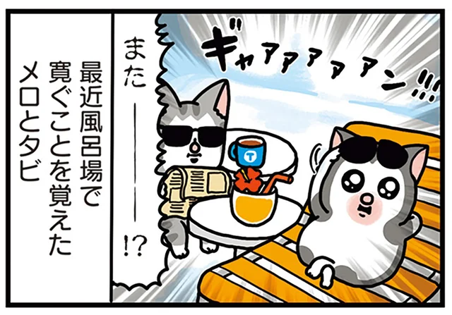 風呂場で寛ぐな！ 愛猫2匹が、風呂場に入る隙を常に狙っています／まめきちまめこニートの日常 こまちとタビ4（4）