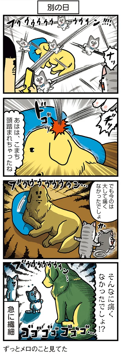 そんなに痛くなかったでしょ！？