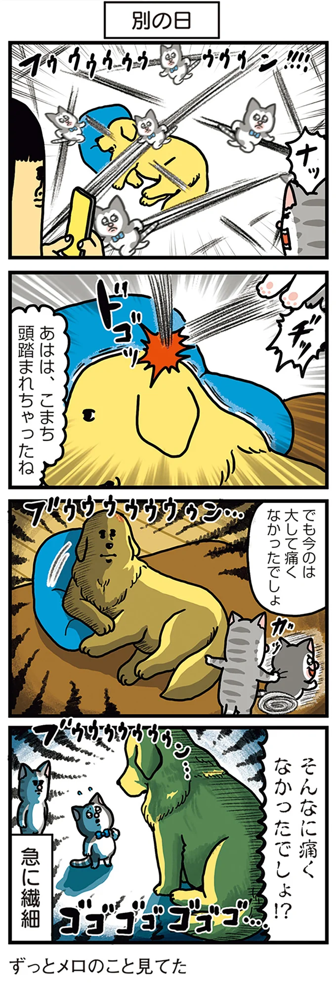 そんなに痛くなかったでしょ！？