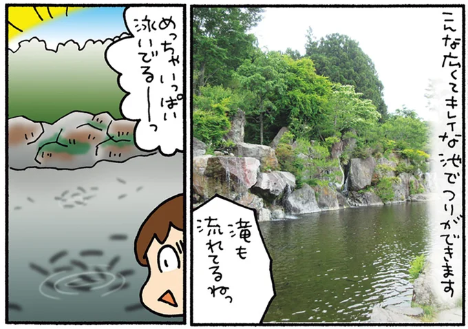 めっちゃいっぱい泳いでるーーっ