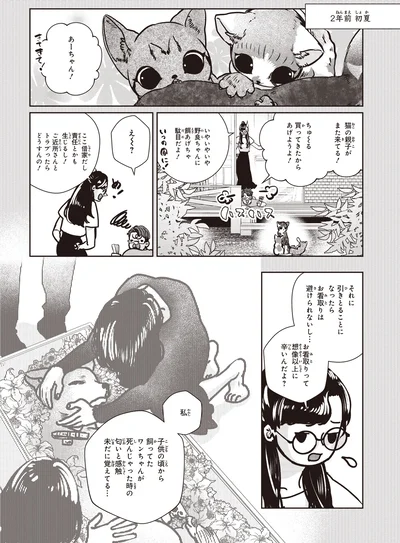 猫の親子がまた来てる！