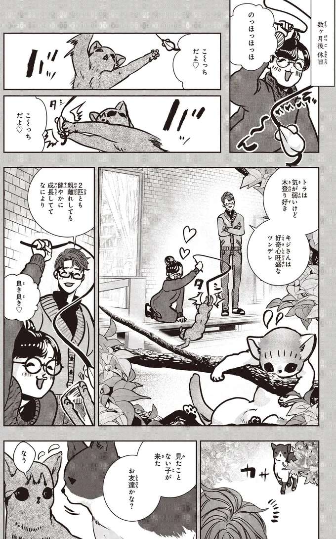見たことない子が来た