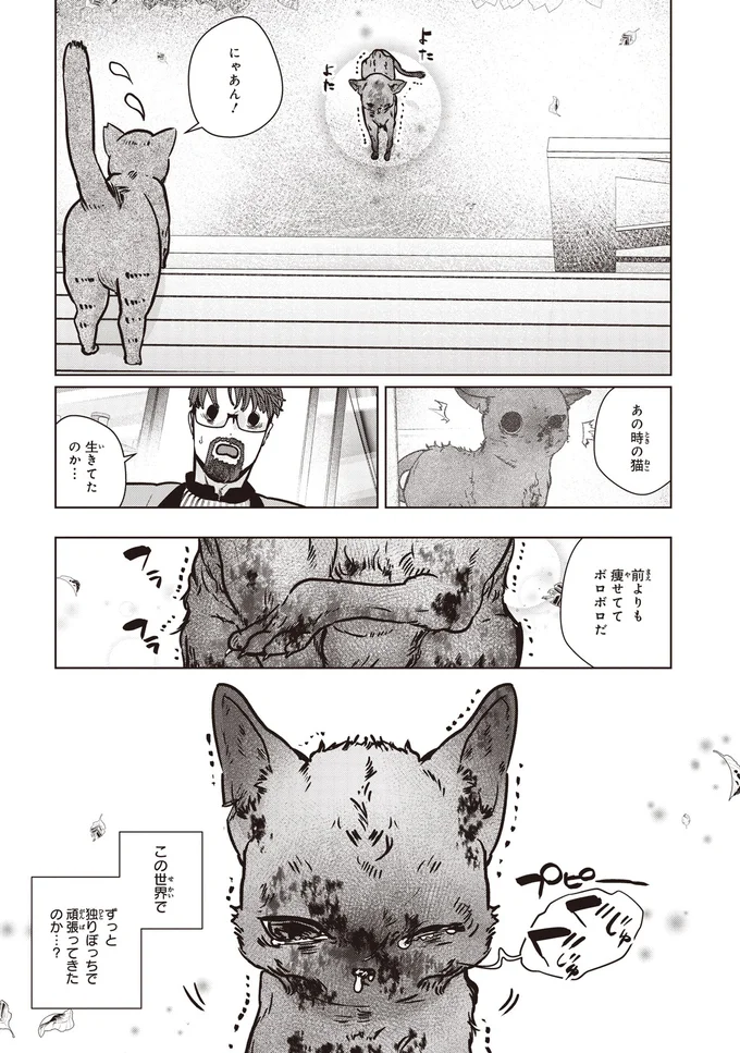 あの時の猫