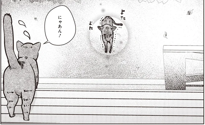 にゃあん!