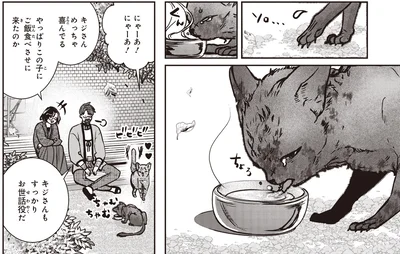 キジさんめっちゃ喜んでる