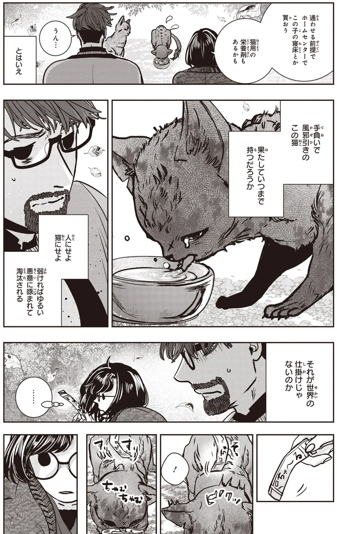 この子の寝床とか買おう