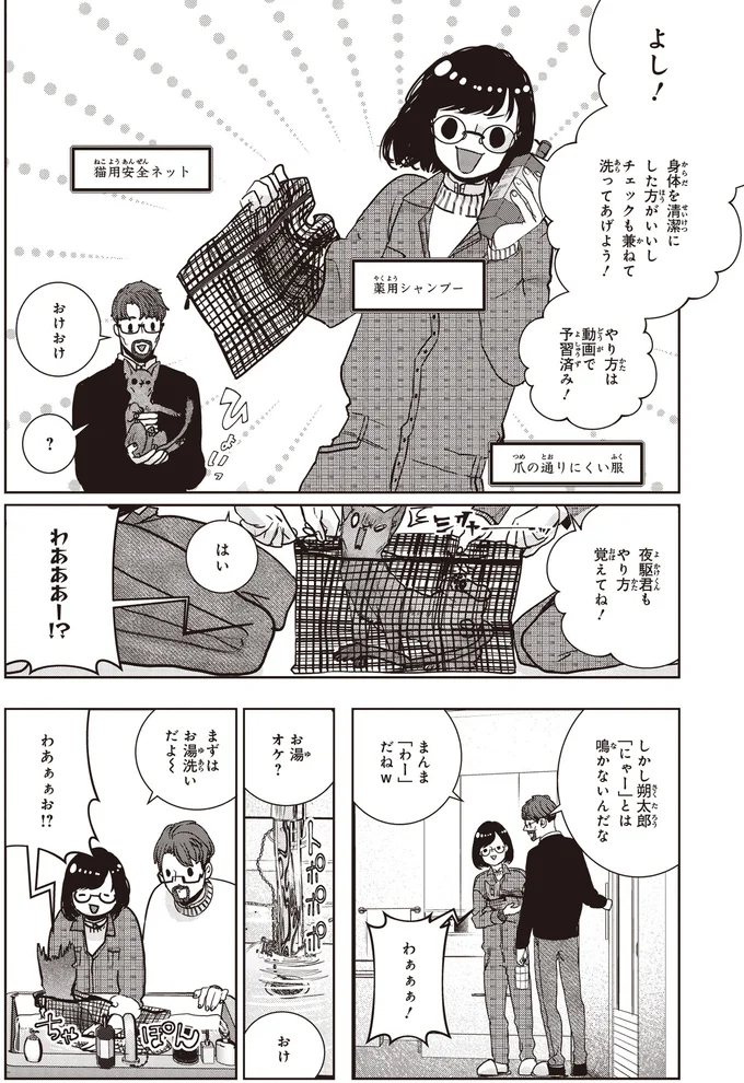 洗ってあげよう！