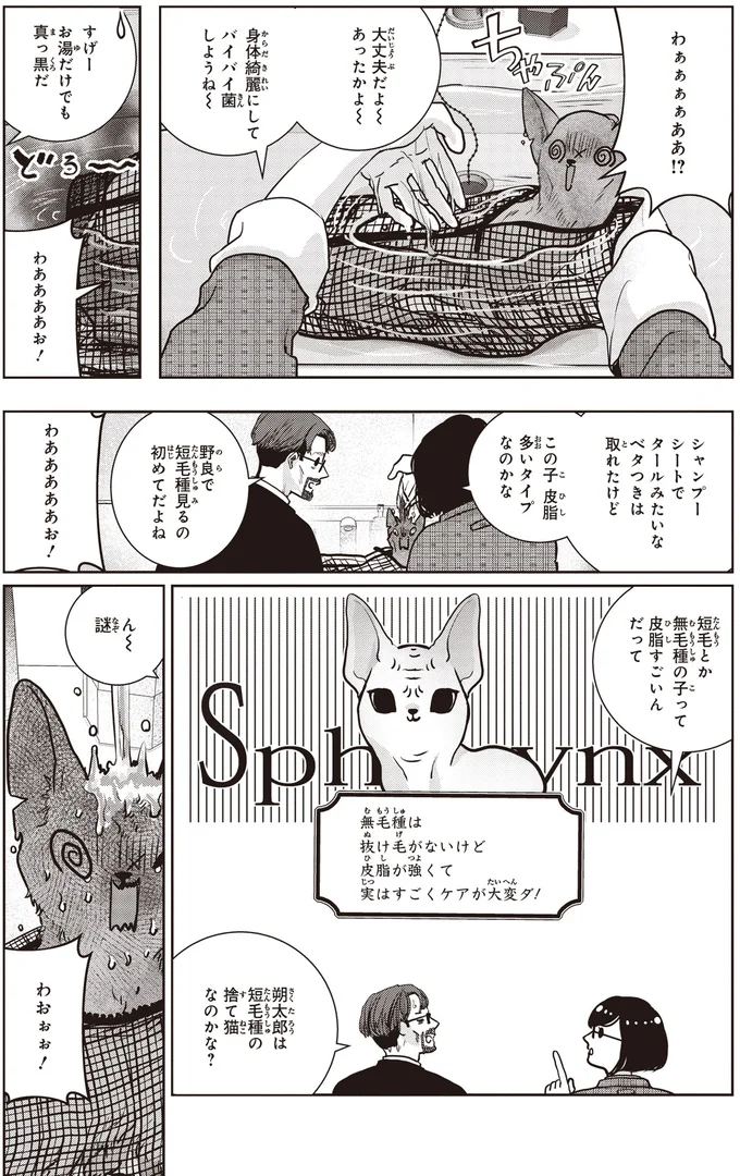 お湯だけでも真っ黒だ