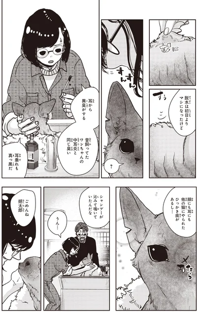 耳から異臭がする