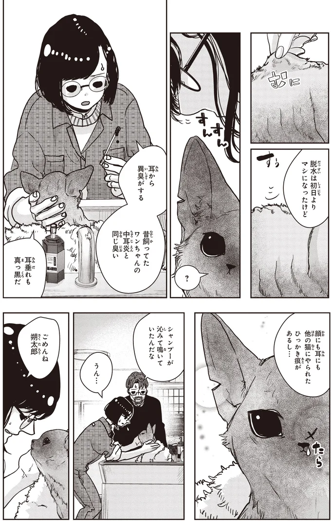 耳から異臭がする