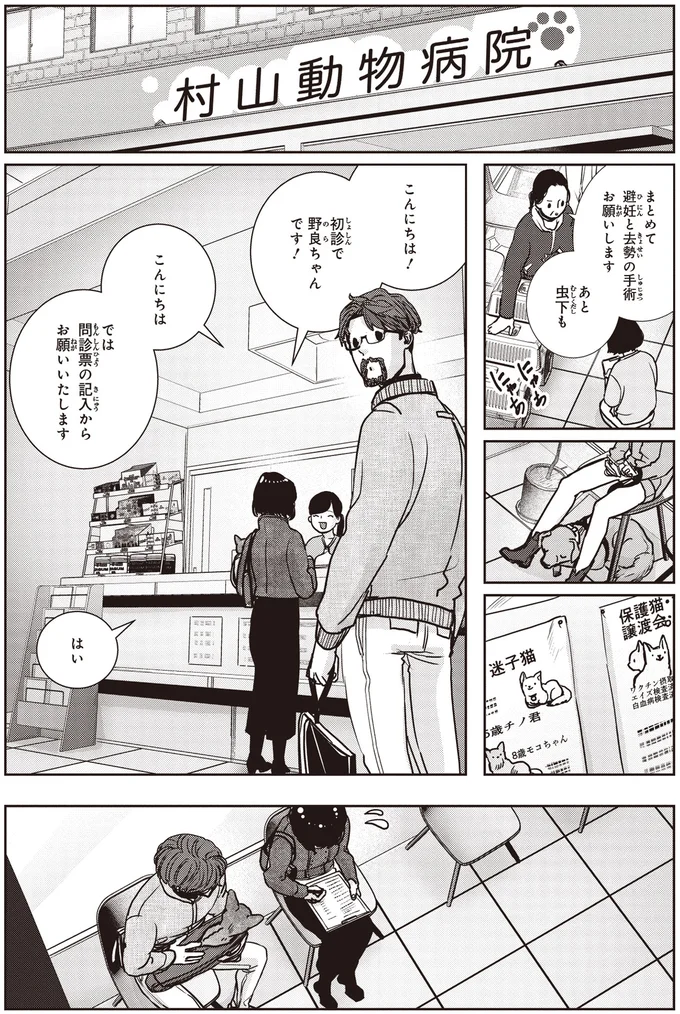 初診で野良ちゃんです！
