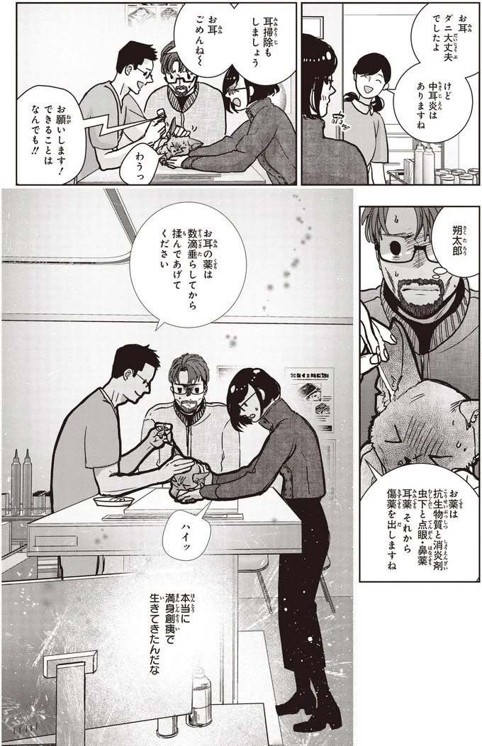 お耳ダニ大丈夫でしたよ