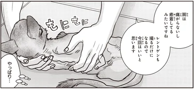 癒着してるみたいですね