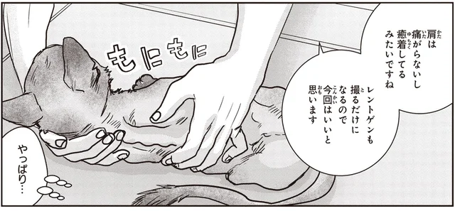 満身創痍で生きてきた野良の子猫。病院で次々にみつかるケガの跡や病気に涙／スローステップ朔太郎 上（9）
