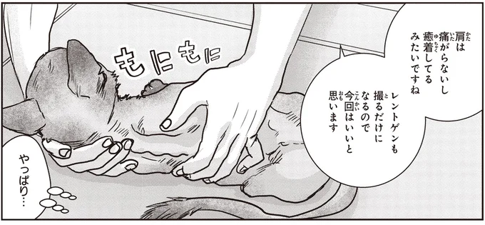 癒着してるみたいですね