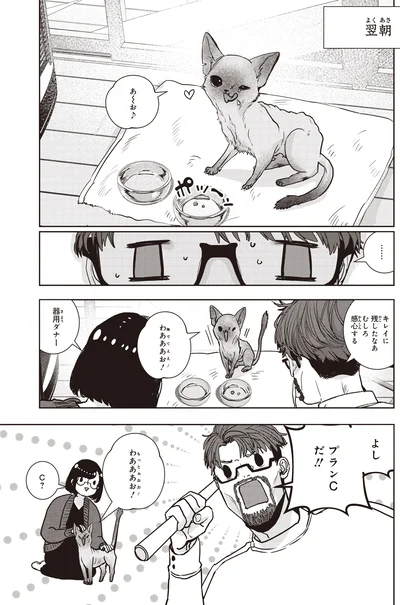 キレイに残したなあ