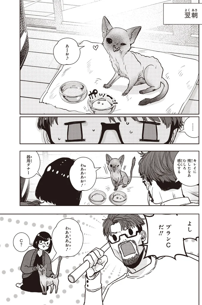 キレイに残したなあ