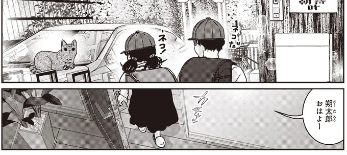 ネコだ