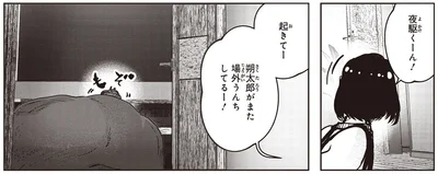 起きてー