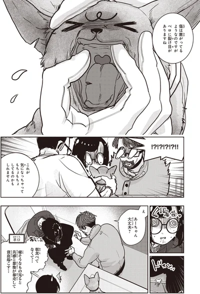 ベロに裂け目がありますね