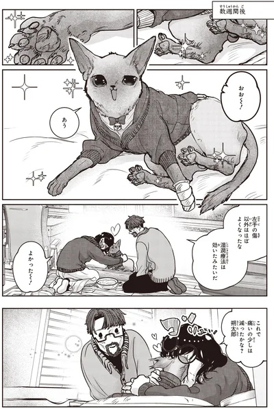 湿潤療法は効いたみたいだ