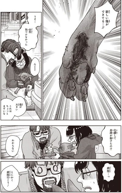 新しい傷ができてる…！！