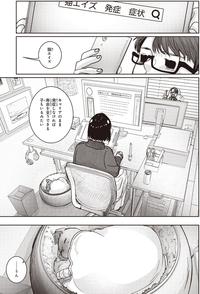 猫エイズ