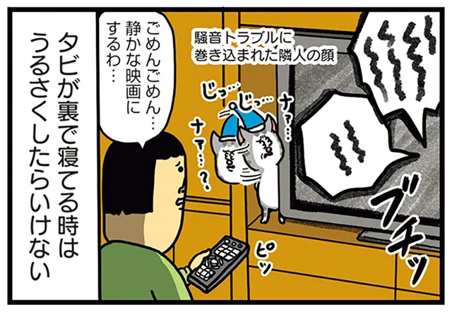 昼寝を邪魔してごめん。テレビ裏で寝るのが好きな猫に配慮した結果／まめきちまめこニートの日常 こまちとタビ5（2）