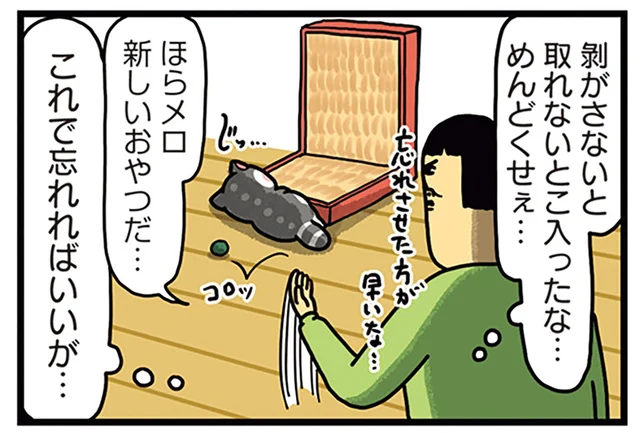 手の届かないおやつにご執心！ 飼い主の誤魔化しも無駄なようで／まめきちまめこニートの日常 こまちとタビ5（3）