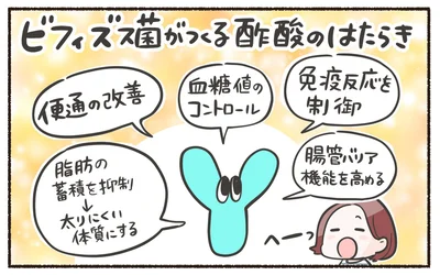 ビフィズス菌がつくる酢酸のはたらき