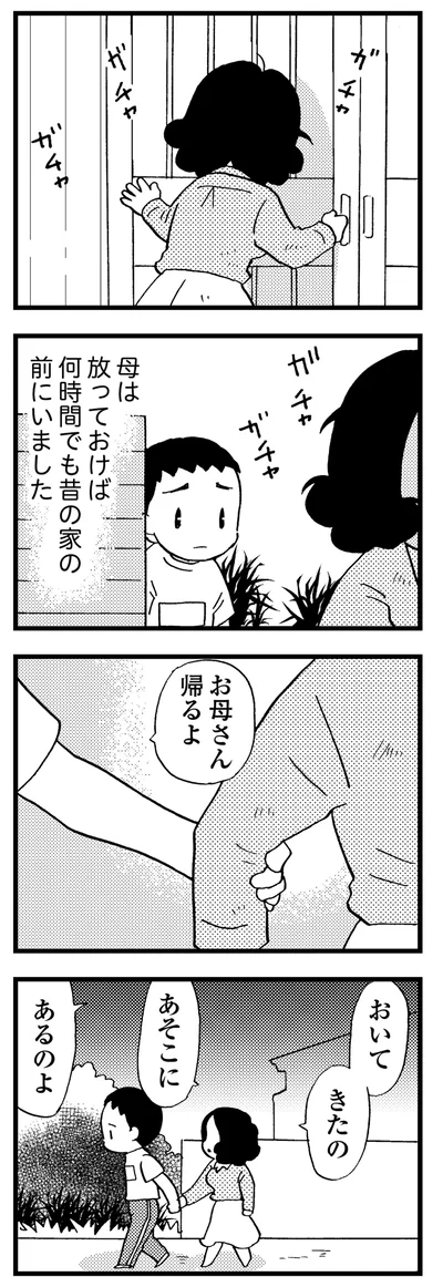 母は放っておけば何時間でも昔の家の前にいた