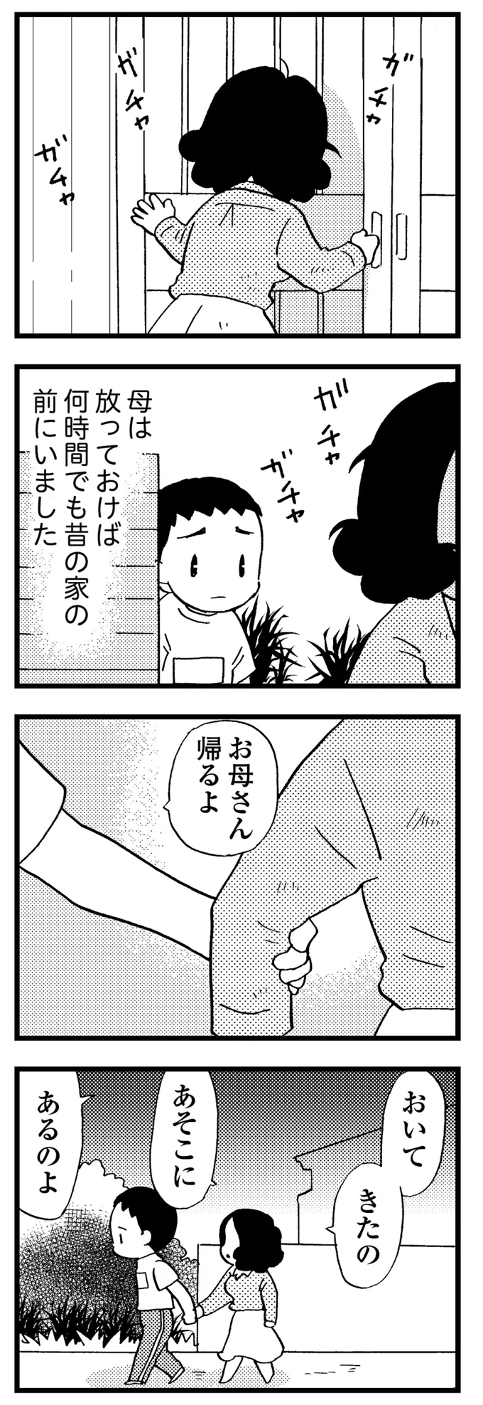 母は放っておけば何時間でも昔の家の前にいた