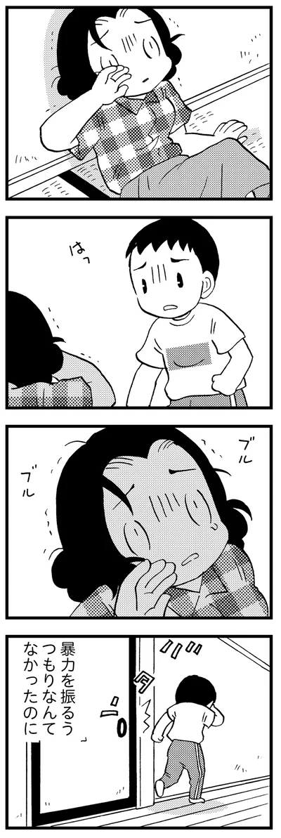 暴力を振るうつもりなんてなかったのに