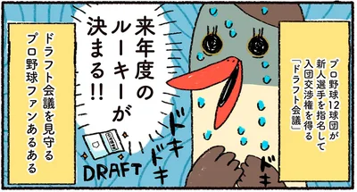 来年度のルーキーが決まる！！