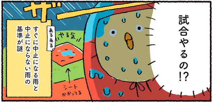 「試合やるの!?」ファンにもわからない、中止になる雨とならない雨の違い／プロ野球を愛しすぎている人たちの生態（14）