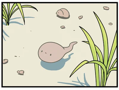 おたまじゃくしに遭遇