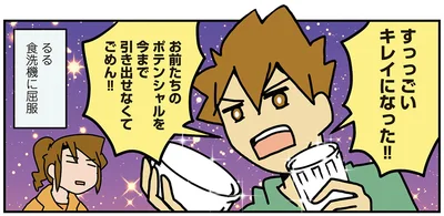 食洗機に屈服
