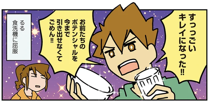 食洗機に屈服