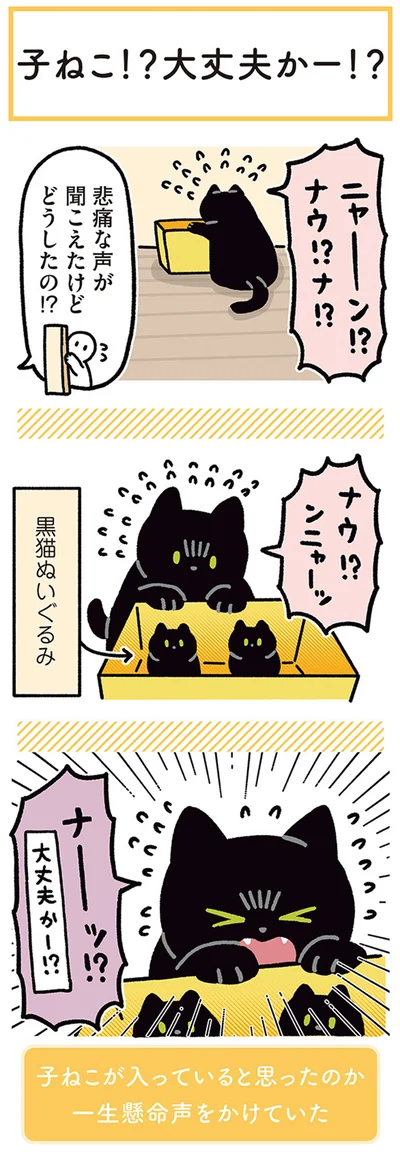 『黒猫ろんと暮らしたら4』より