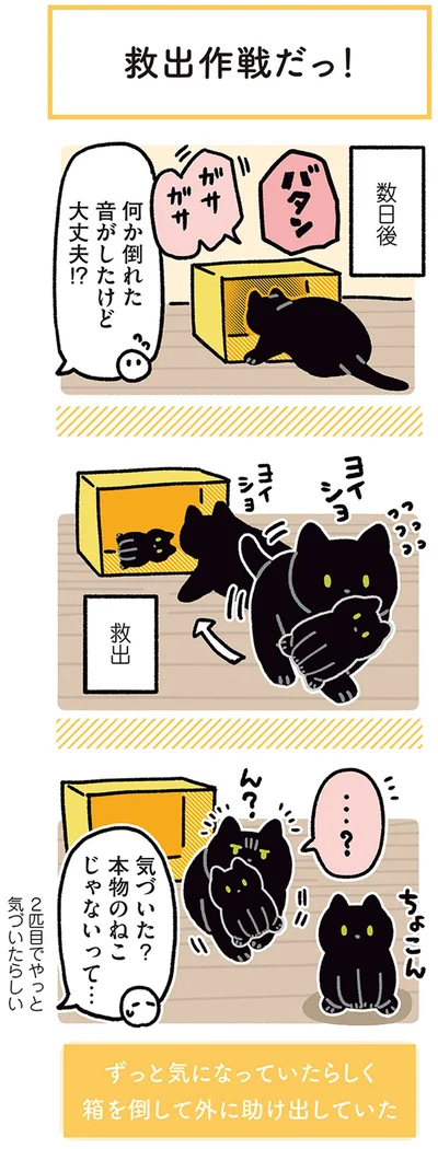 『黒猫ろんと暮らしたら4』より