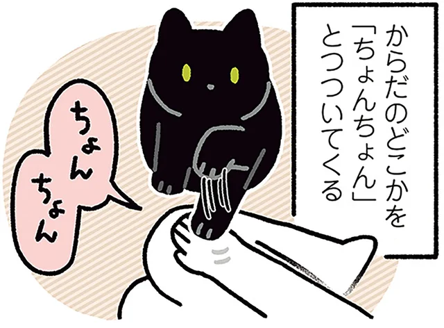 からだのどこかをちょんちょん。黒猫ろんのかわいいジェスチャー／黒猫ろんと暮らしたら4（1）