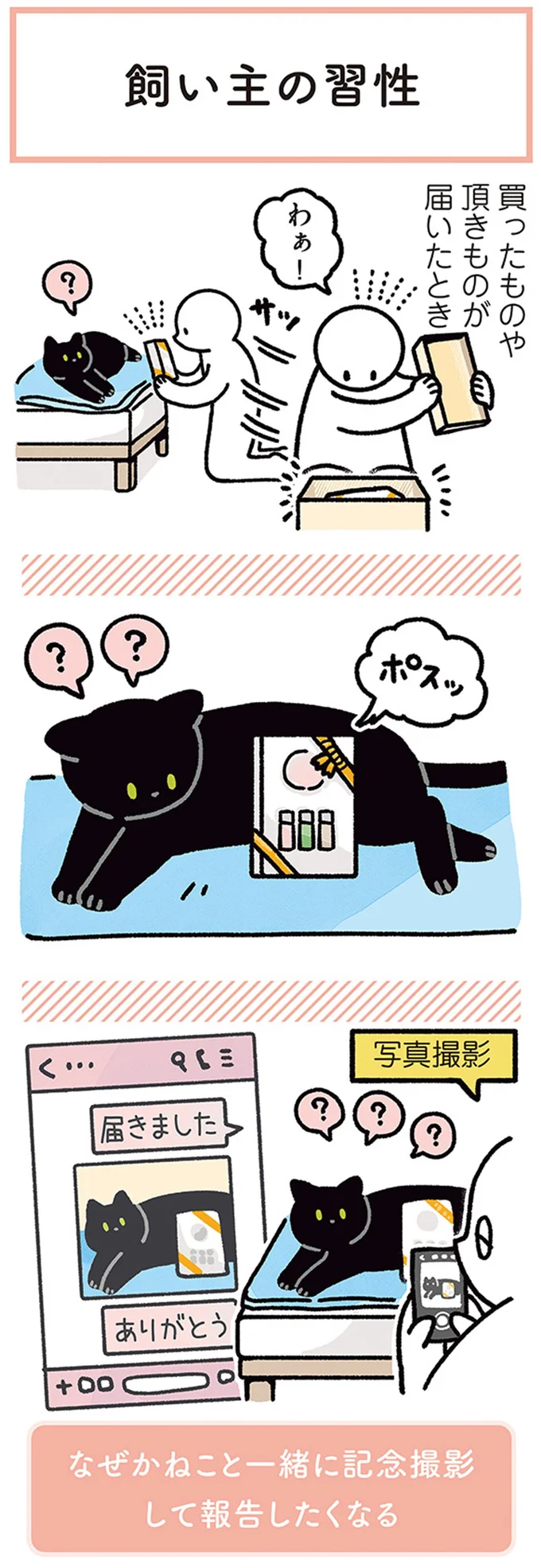写真撮影