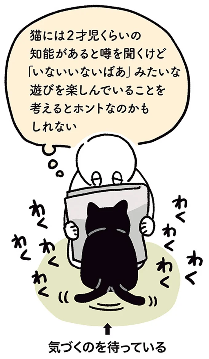 猫には2歳児くらいの知能があると噂を聞くけど