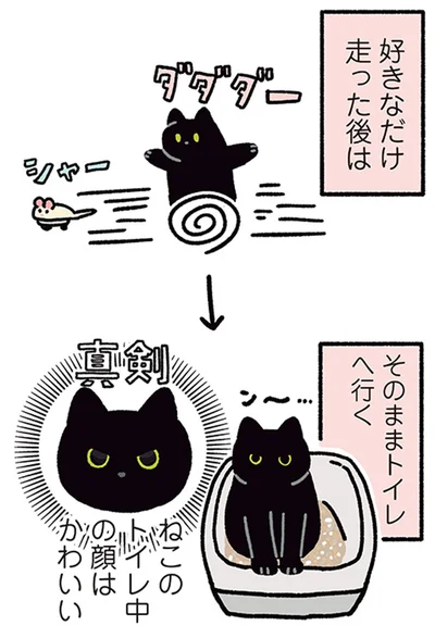 そのままトイレへ行く
