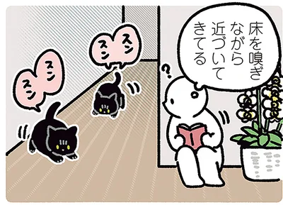 床を嗅ぎながら近づいてきてる