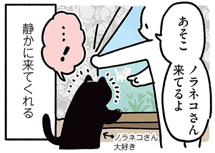 静かに呼ぶと静かに来てくれる。飼い主のテンションに応じる黒猫ろん／黒猫ろんと暮らしたら4（9）