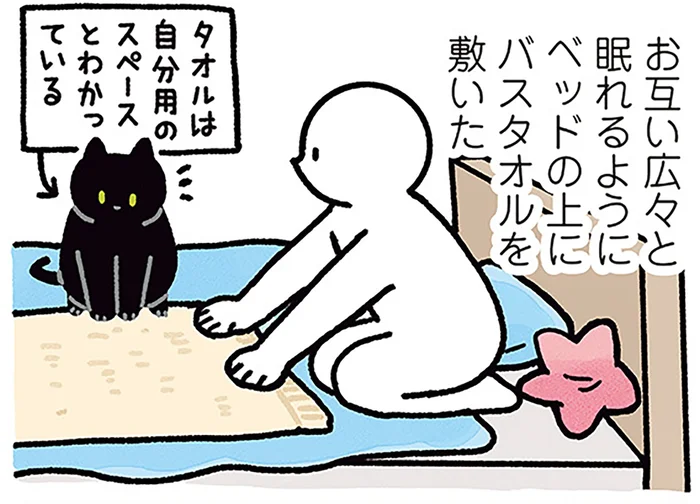 バスタオルでまるっと解決？黒猫ろんと飼い主の寝るスペース問題／黒猫ろんと暮らしたら4（11）