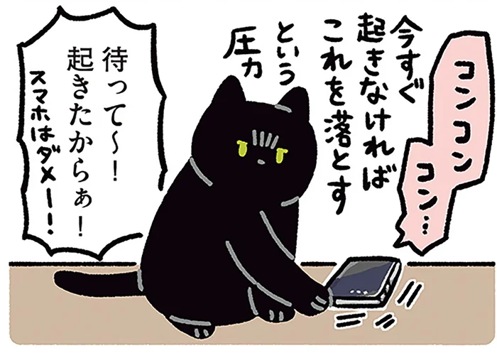 モーニング・コールで起きないときは？黒猫ろんが飼い主を起こすときの作戦／黒猫ろんと暮らしたら4（12）
